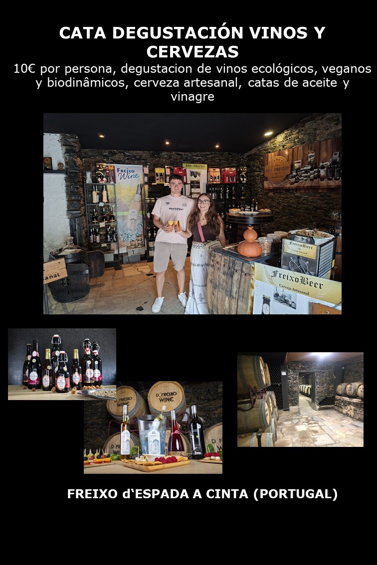 catas de vinos, cervezas y aceites